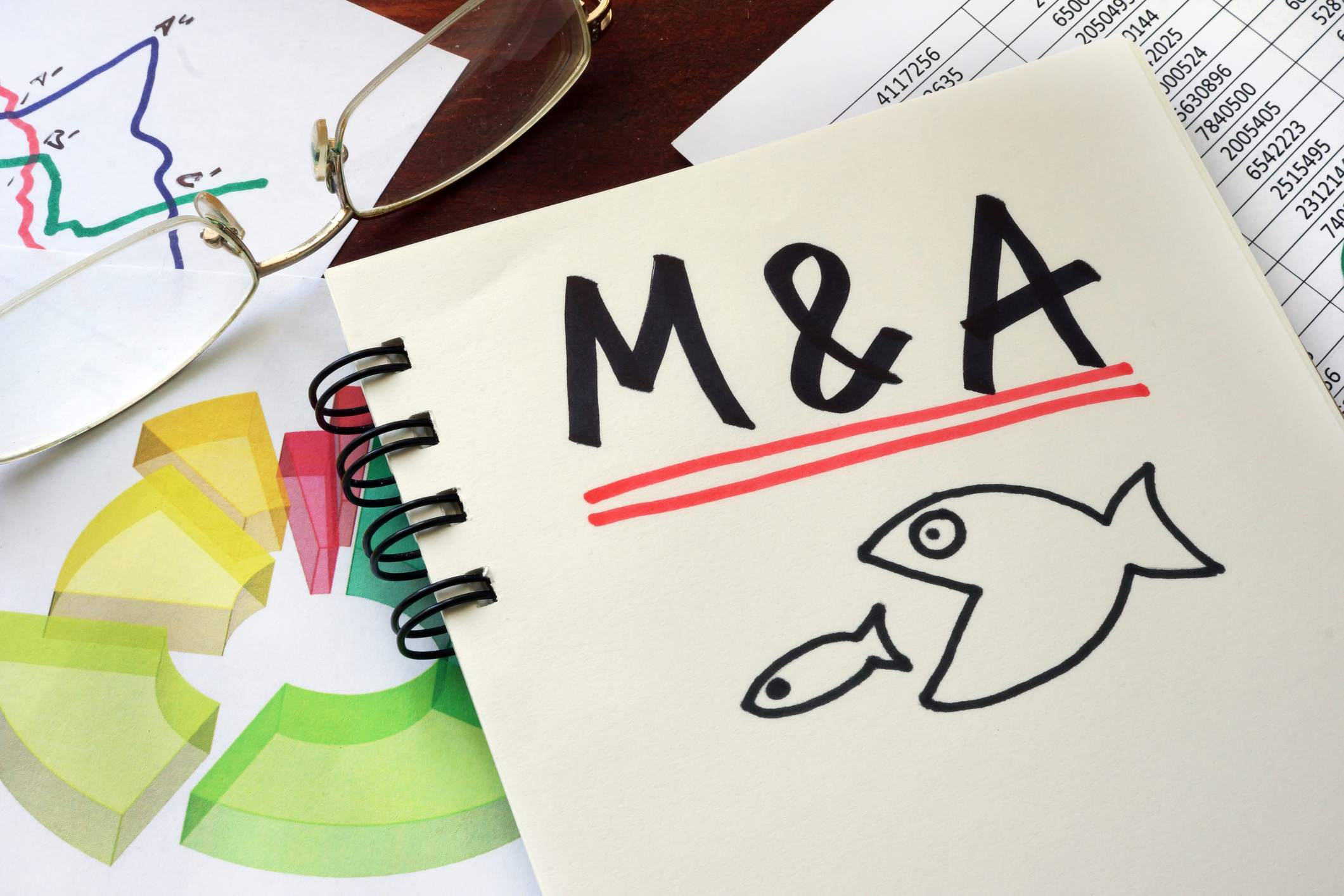Company values rise as UK acquisition activity is set to continue!